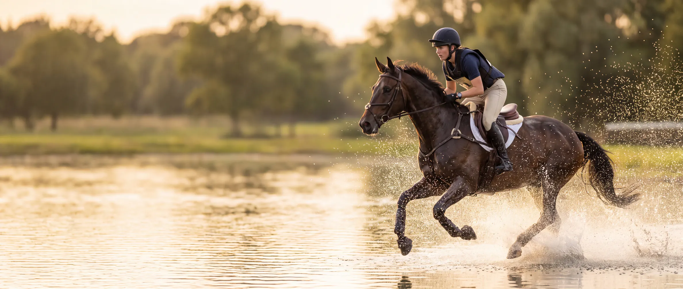 Cavaliere e cavallo sportivo al galoppo nell'acqua durante un percorso di completo